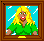 Syra